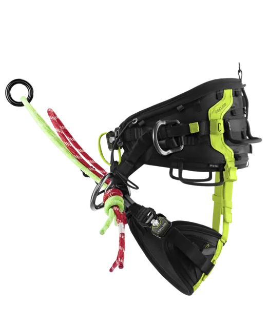 Scheda Articolo: Edelrid-imbracatura TREEREX II - by Bozzetta Andrea & C. Snc. Cavalese - Val di Fiemme Trentino - Vendita ed assistenza
