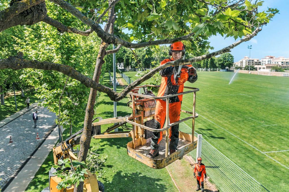 Scheda Articolo: Husqvarna-T435 - by Bozzetta Andrea & C. Snc. Cavalese - Val di Fiemme Trentino - Vendita ed assistenza