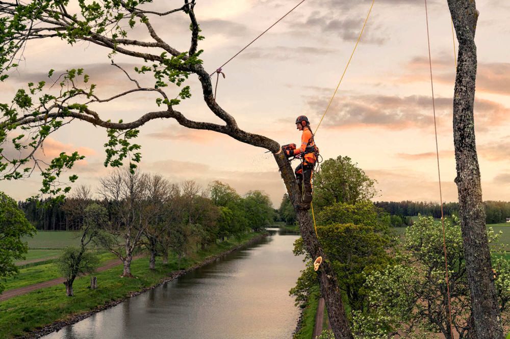 Scheda Articolo: Husqvarna-T540 XP Mark 3 - by Bozzetta Andrea & C. Snc. Cavalese - Val di Fiemme Trentino - Vendita ed assistenza